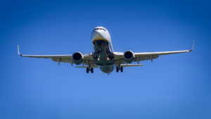 Airline Grounds Flight Due to a Furry Stowaway Mouse